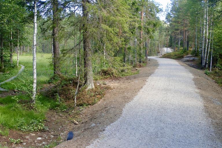 Høringsmøte for Flerbruksplan for Oslo kommunes skoger